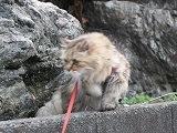 0-118.jpg