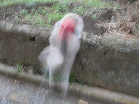 00-12.jpg
