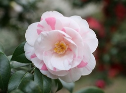 00-924.jpg