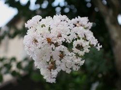01-775.jpg