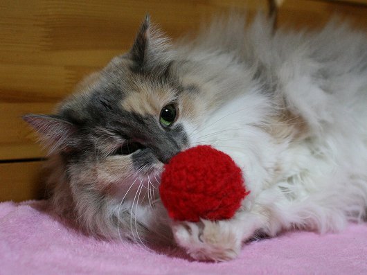 02-240.jpg