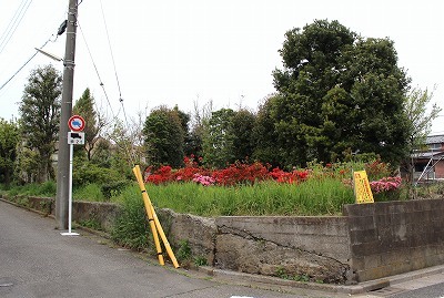 03-270.jpg