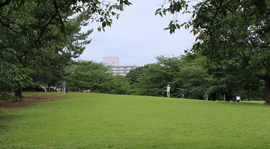 03-821.jpg