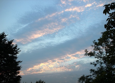05-621.jpg
