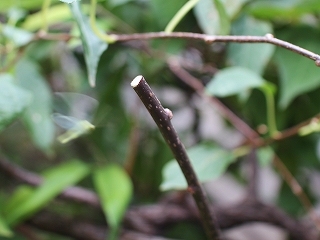 05-644.jpg