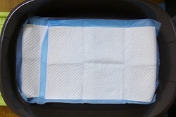 05-676.jpg