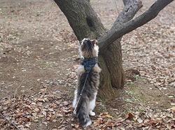 07-115.jpg