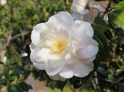 07-924.jpg
