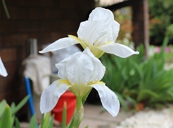 08-025.jpg