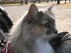 4-584.jpg