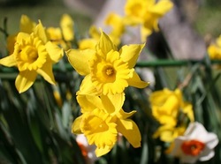 6-069.jpg
