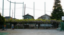 6-624.jpg