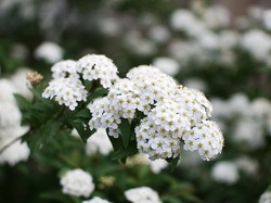 6-634.jpg