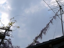 6-636.jpg