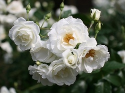 6-923.jpg