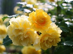 6-924.jpg