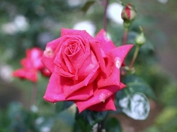 6-927.jpg