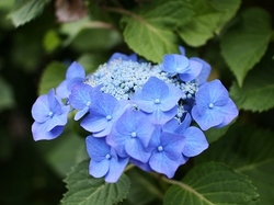 7-338.jpg